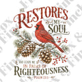 Christmas Cardinal Card