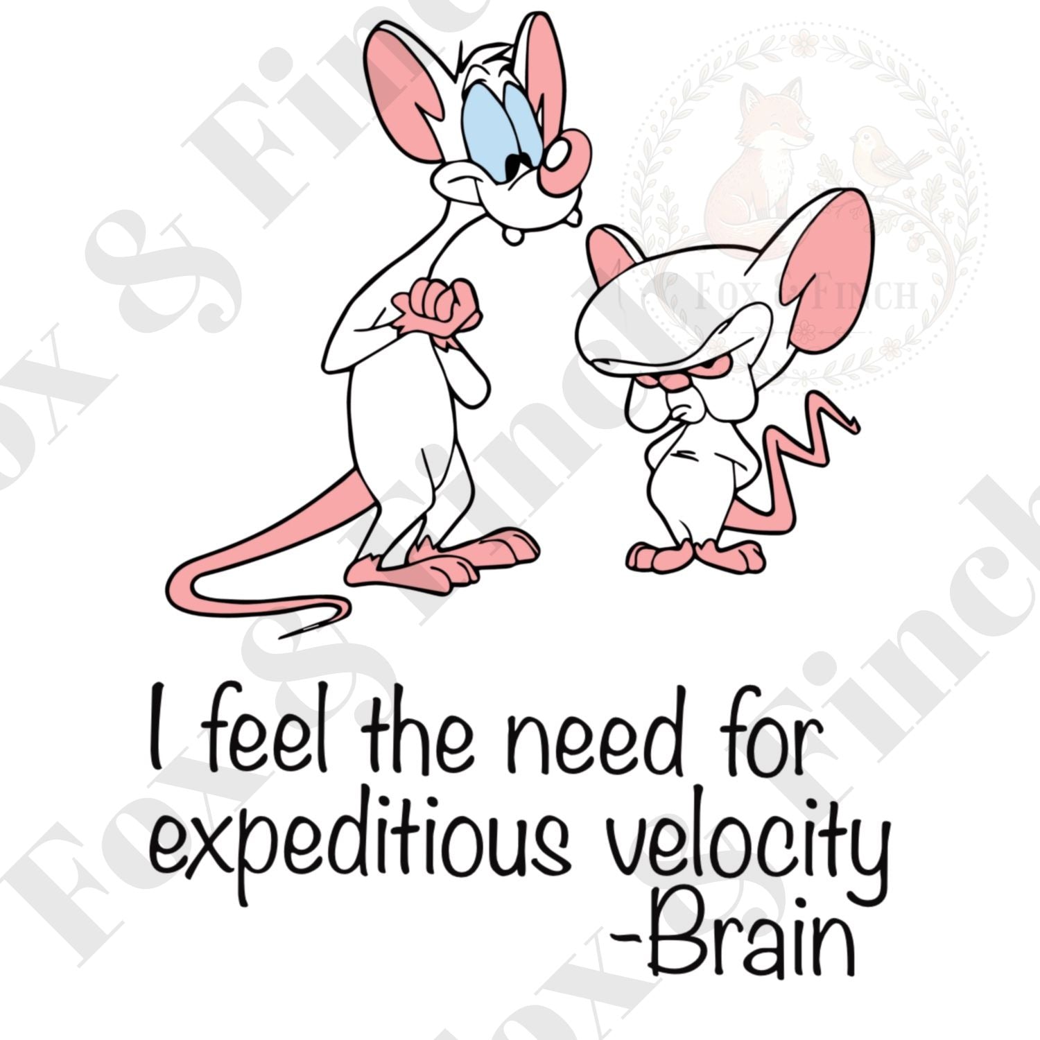 Pinky & Brain